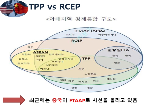 TPP와 RCEP 정의,환태평양경제동반자협정,동아시아자유무역협정,TPP vs RCEP   (7 )
